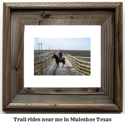 trail rides near me in Muleshoe, Texas